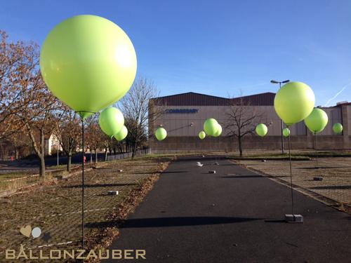 Ballondekoration-Visualisierung-Riesenballons-Bäume-Staender-Wuerzburg-Baum-Dummies